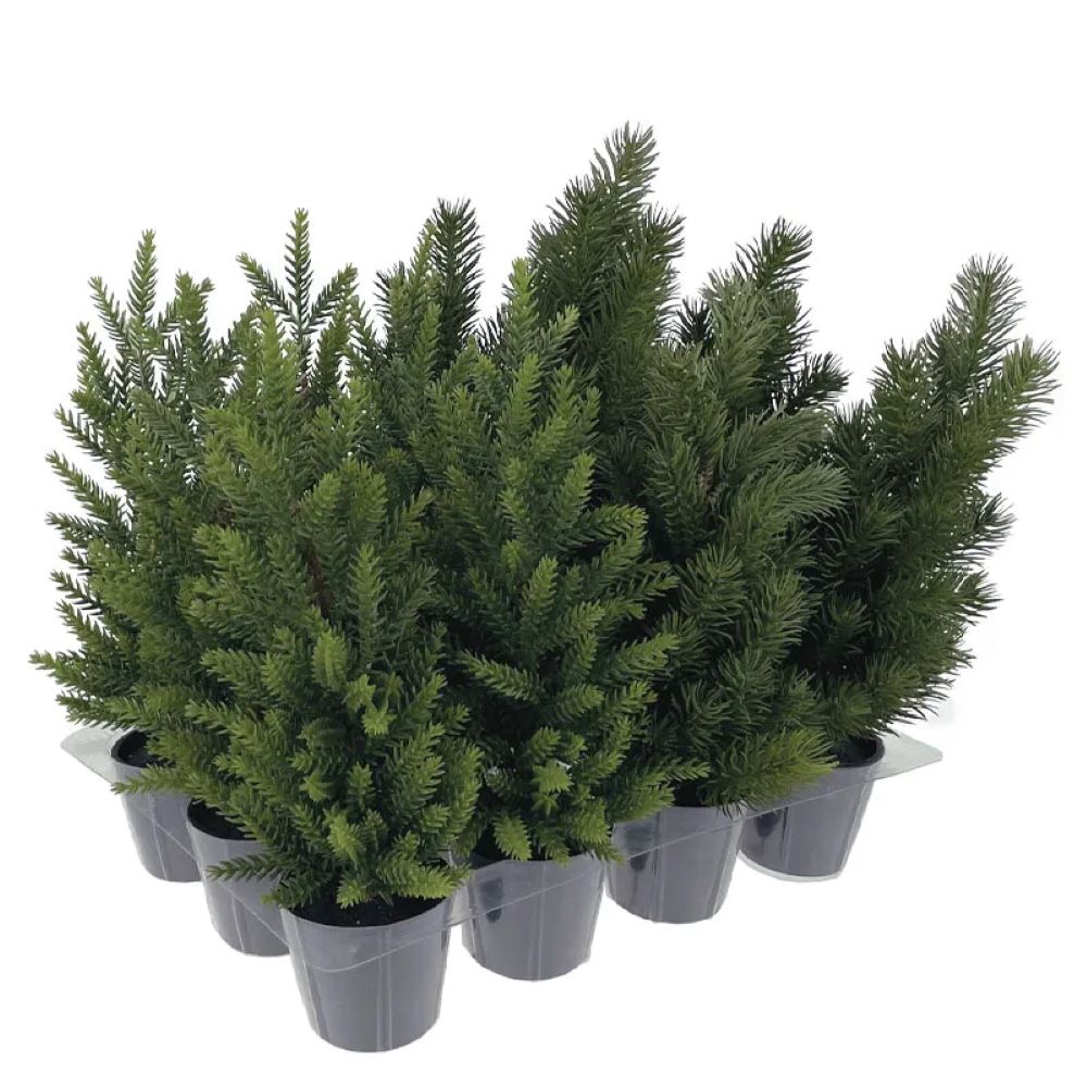 Χριστουγεννιάτικα Μίνι Έλατα σε Γλαστράκια - 34x15cm