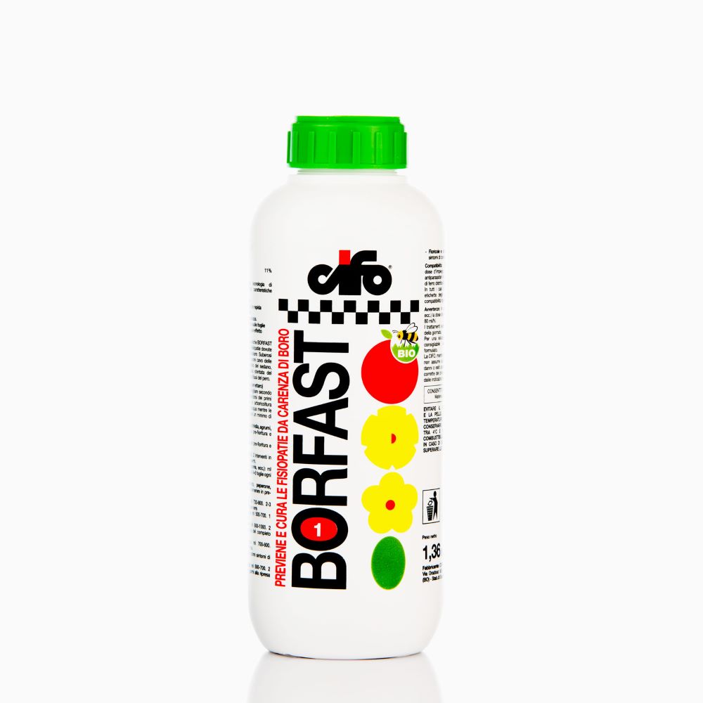 Borfast 200ml - Βόριο υψηλής διείσδυσης