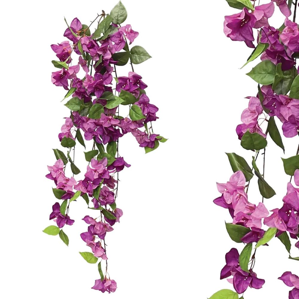Βουκαμβίλια με Μωβ Άνθη Κρεμαστή σε Κλαδί 122cm